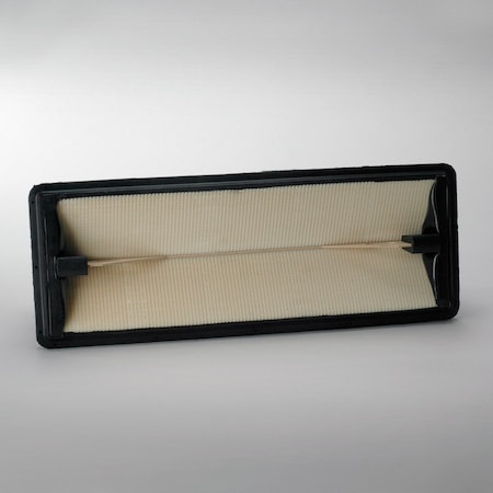 Donaldson Air Filter, P629641 P629641